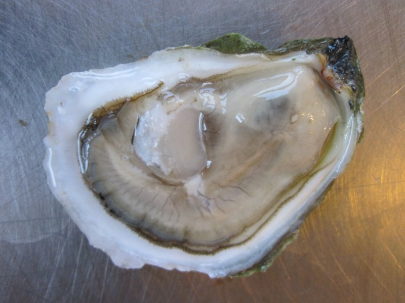 Bag O' Dam-Good Cocktail Oysters SOLD OUT